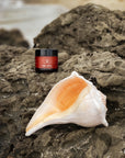 Face Moisturizer for Sensitive Skin | Agave & Golden Algae Cream