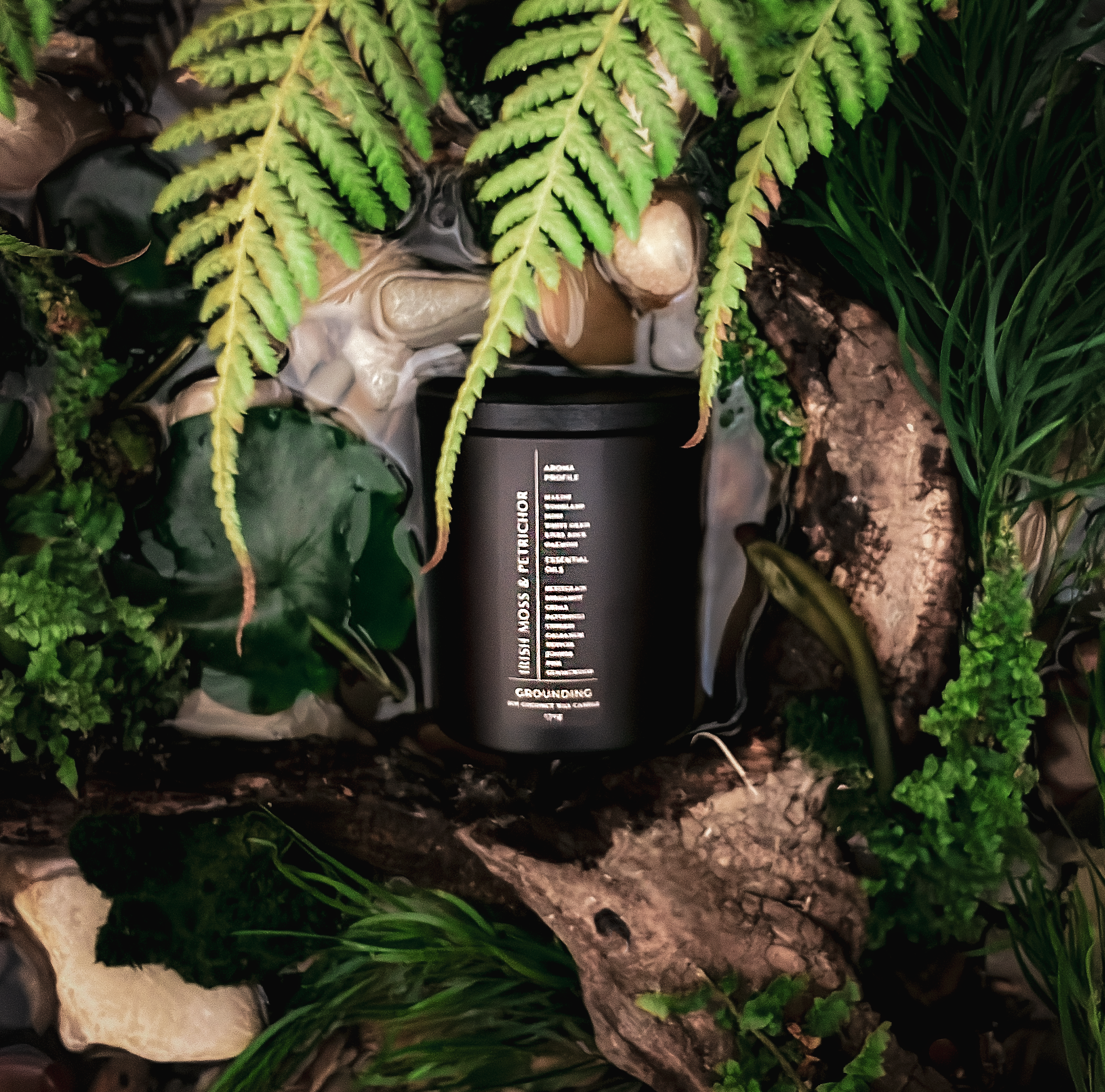 Irish Moss & Petrichor Soy Coconut Candle | Rain & Earth Candle