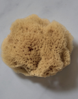 NATURAL SEA SPONGE
