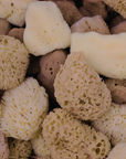 NATURAL SEA SPONGE