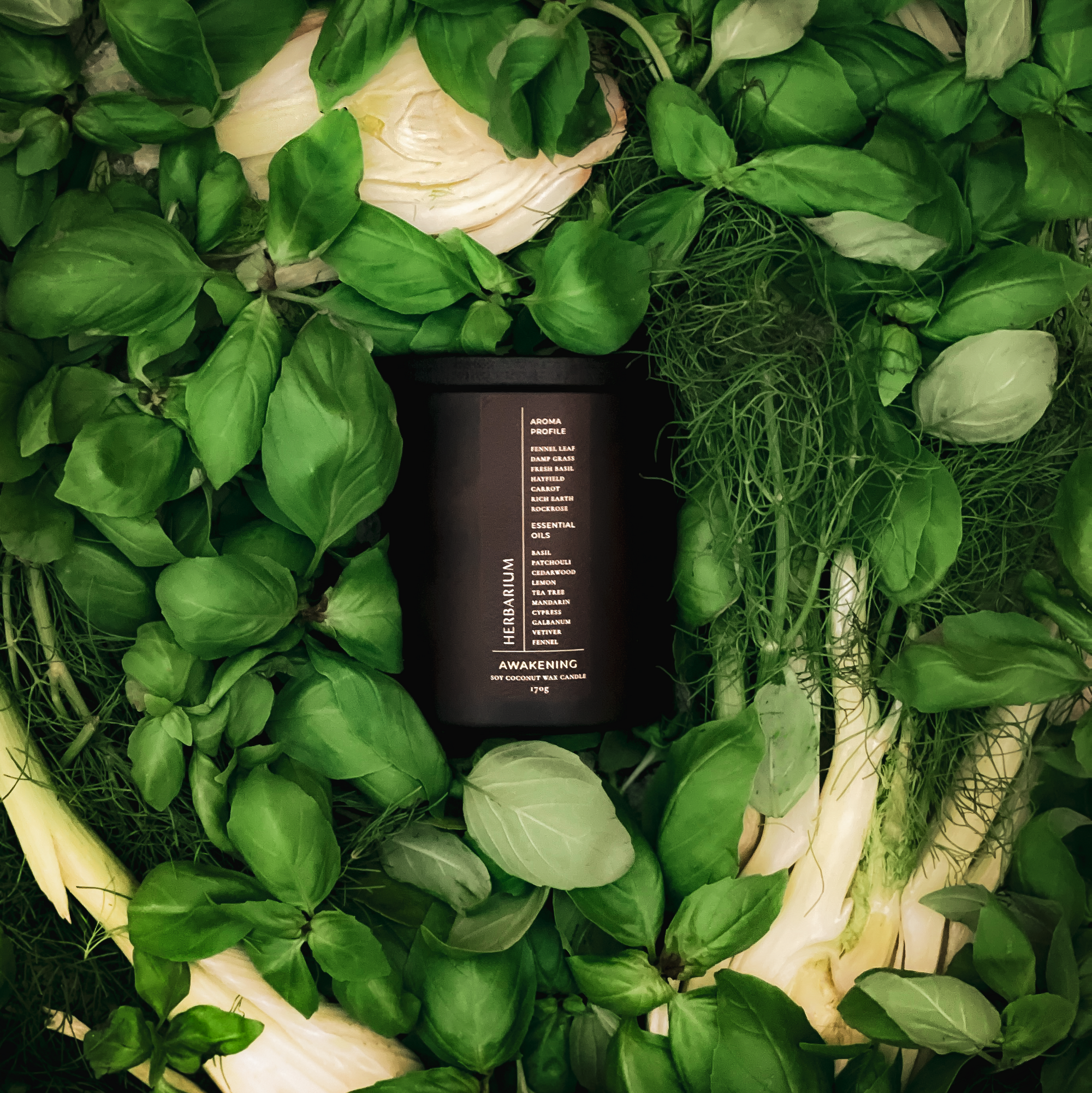 Black candle jar surrounded by green basil leaves and vegetables