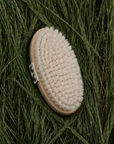 DRY BRUSH