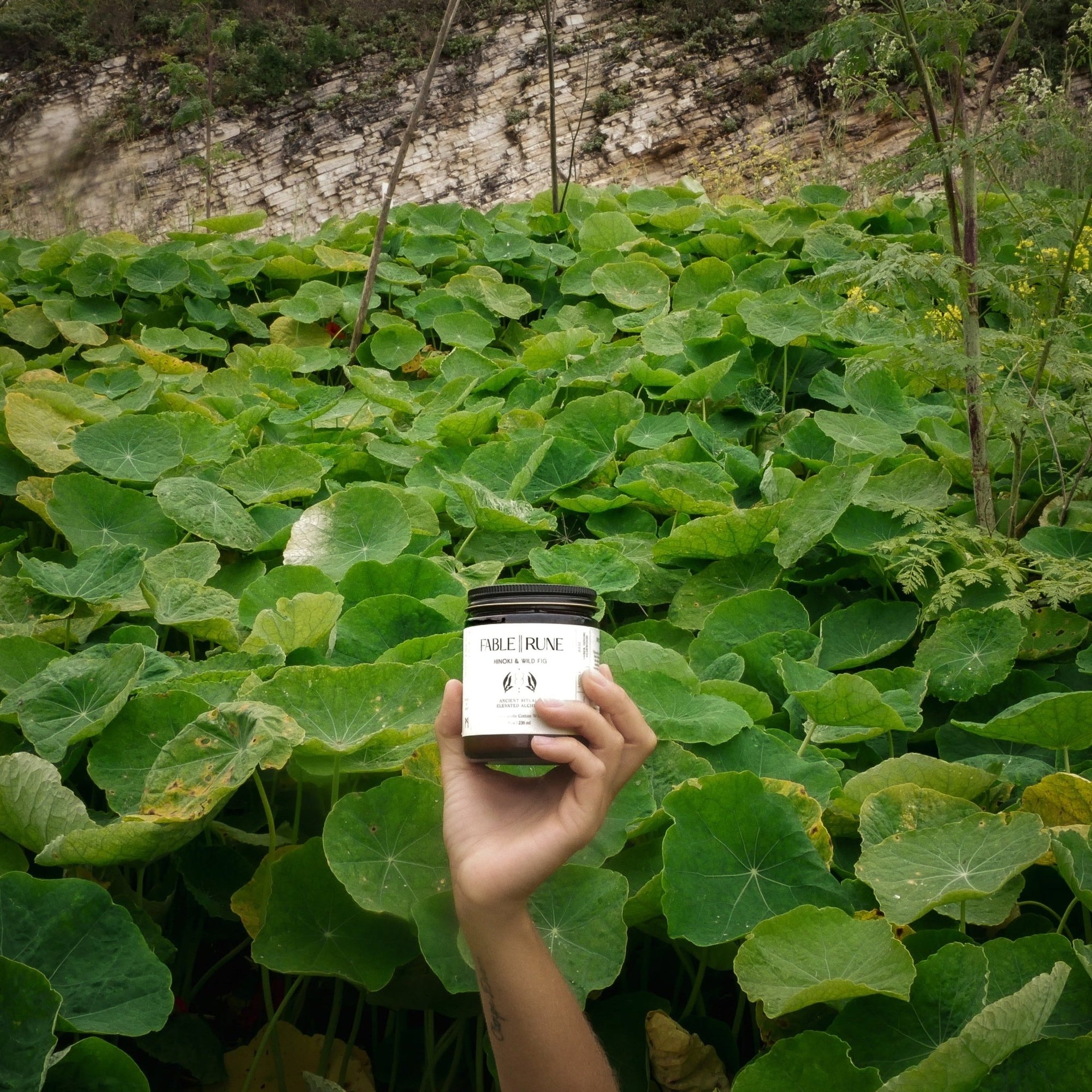 FABLERUNE - HINOKI & WILD FIG SOY CANDLE - Candle - FG - CAND - HINO - 008