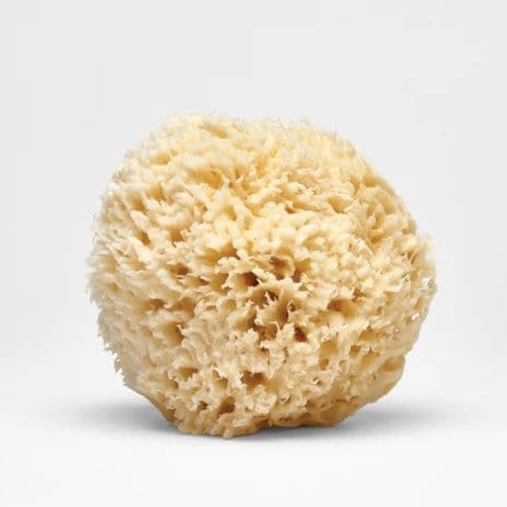 FABLERUNE - NATURAL SEA SPONGE - Add Ons - FG - ADDO - SEASPONGE